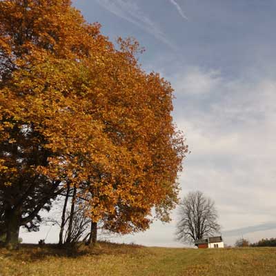 Herbst_2011_01