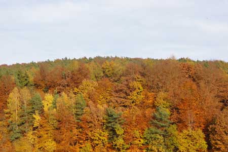 Herbst_2011_04