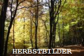 Link_Herbstbilder