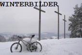Link_Winterbilder