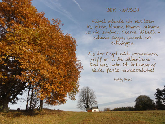 Der-Wunsch