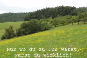 Wiese
