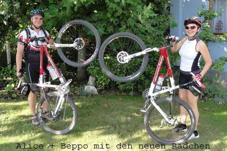 310710_01