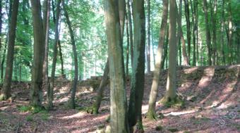 Altes-Schlo�-Klw_01