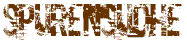 Spurensuche