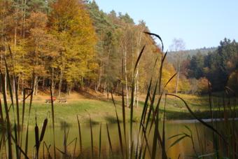 Waldsee-Buttenbrunn_01