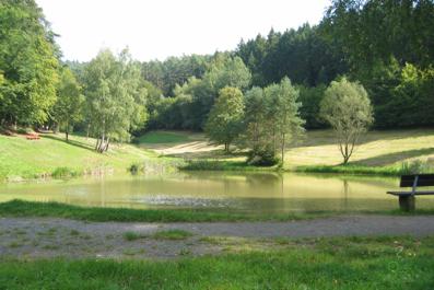 Waldsee-Buttenbrunn_02