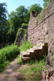 Ruine-Wildenstein_02