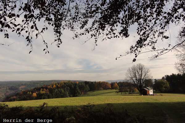 Herbst_2011_02
