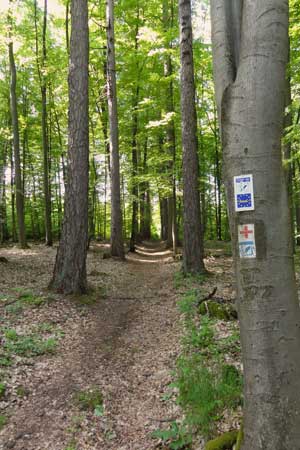 Lärchenallee_06