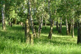 Judenfriedhof 01