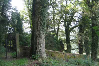 Rexroth-Friedhof_01 Rexroth-Friedhof_01