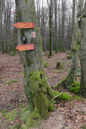 Scharstein_01 Scharstein_01