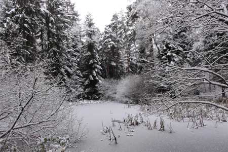 Schwanensee_08 Schwanensee_08
