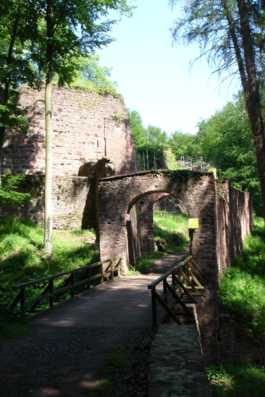 Ruine-Wildenstein_01